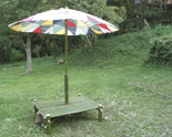 CASA-parasol
